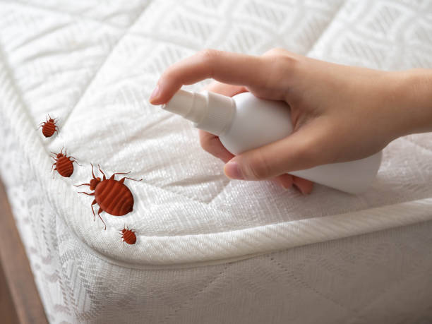 Pest Prevention Services in Alto, GA