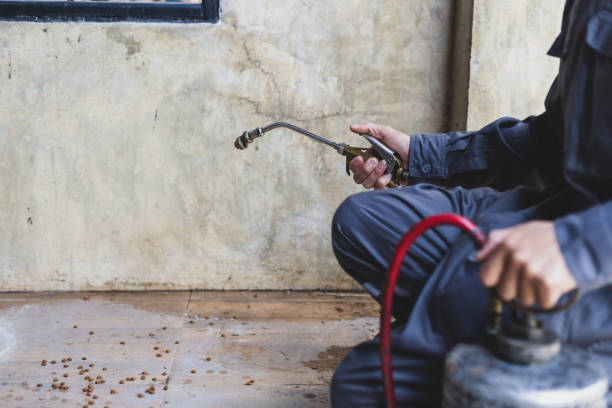 Trusted Alto, GA Pest Control Experts