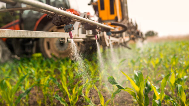Best Mosquito Control Services  in Alto, GA